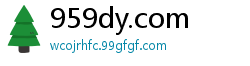 959dy.com